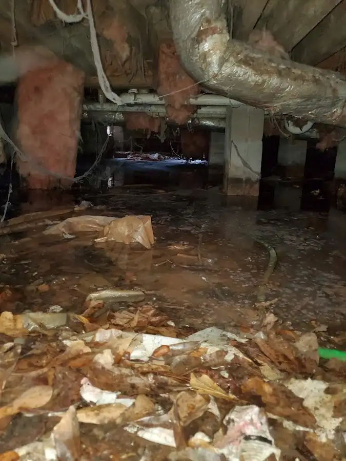 Crawl space flood assessment for Leak Detection & Repair in Richland Hills